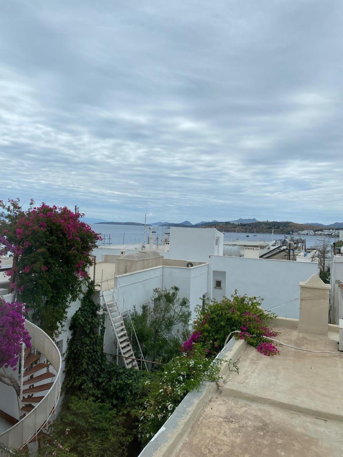 Izan Villa Bakis Apartments ボドルム エクステリア 写真